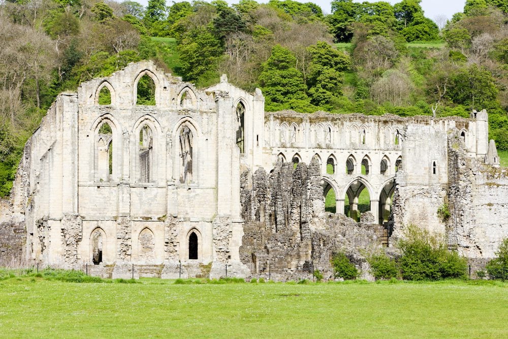 National Centre for Birds of Prey - Visit Helmsley Visit Helmsley