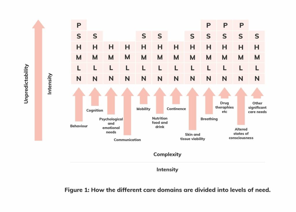 Graphic showing how the different NHS Continuing Healthcare domains are divided into levels of need