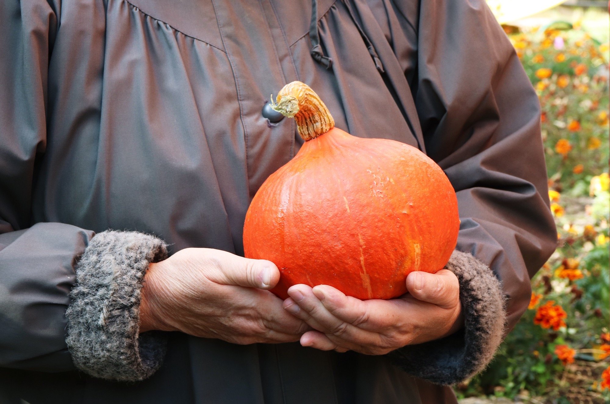 halloween-safety-tips-for-older-people-elder